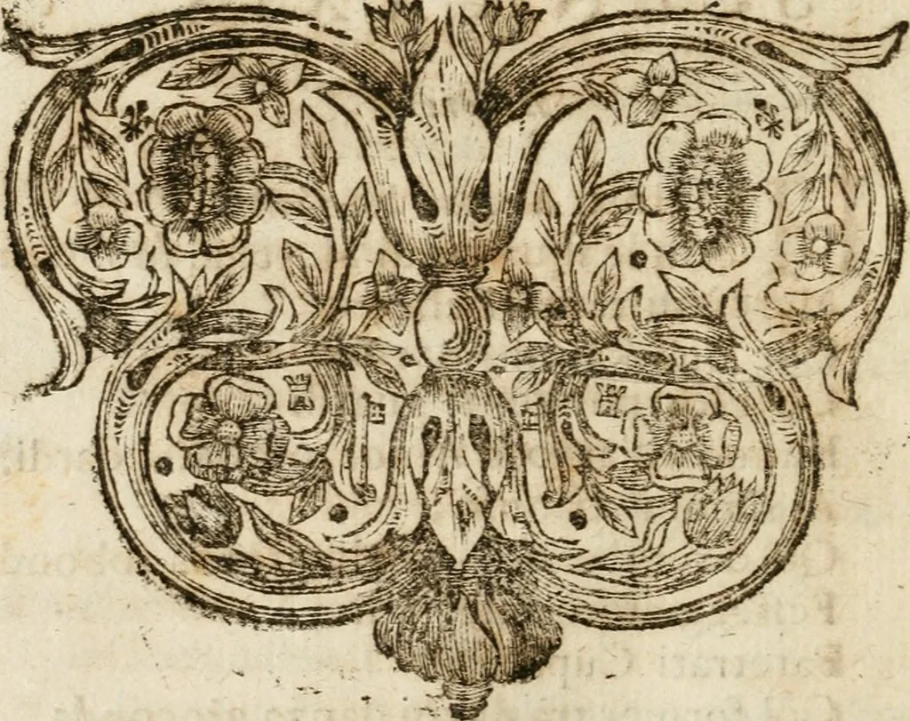 An illustration from Il favore de gli dei : drama fantastico musicale, fatto rappresentare dal serenissimo sig. duca di Parma nel suo Gran Teatro per le felicissime nozze del serenissimo sig. principe Odoardo suo primo genito con la serenissima signora principessa Dorotea Sofia di Neoburgo, 1690, leaf 67