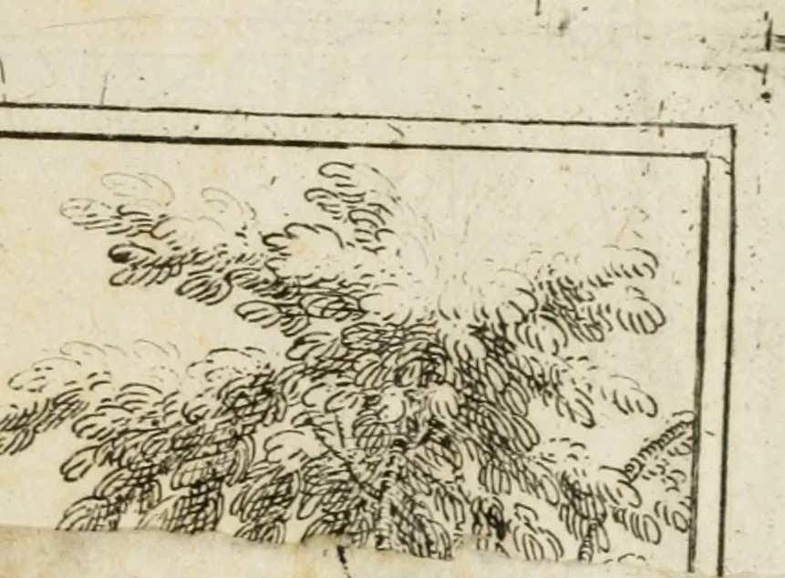An illustration from Il favore de gli dei : drama fantastico musicale, fatto rappresentare dal serenissimo sig. duca di Parma nel suo Gran Teatro per le felicissime nozze del serenissimo sig. principe Odoardo suo primo genito con la serenissima signora principessa Dorotea Sofia di Neoburgo, 1690, leaf 74