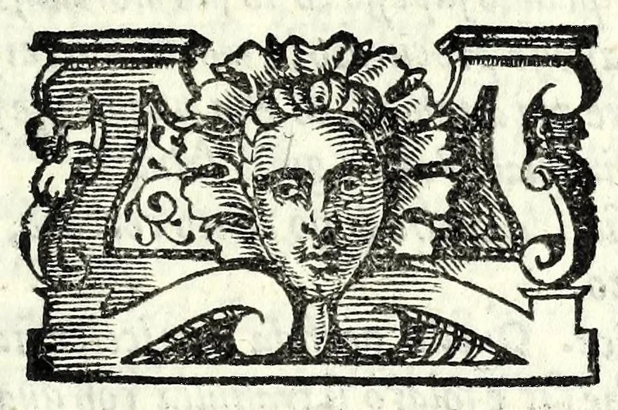 An illustration from Il Fedele : comedia, 1579, leaf 159