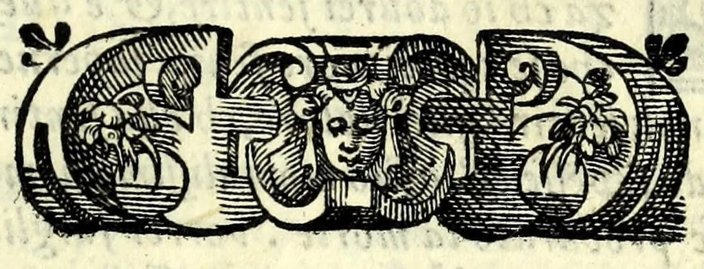 An illustration from Il fedele : comedia, 1576, leaf 171