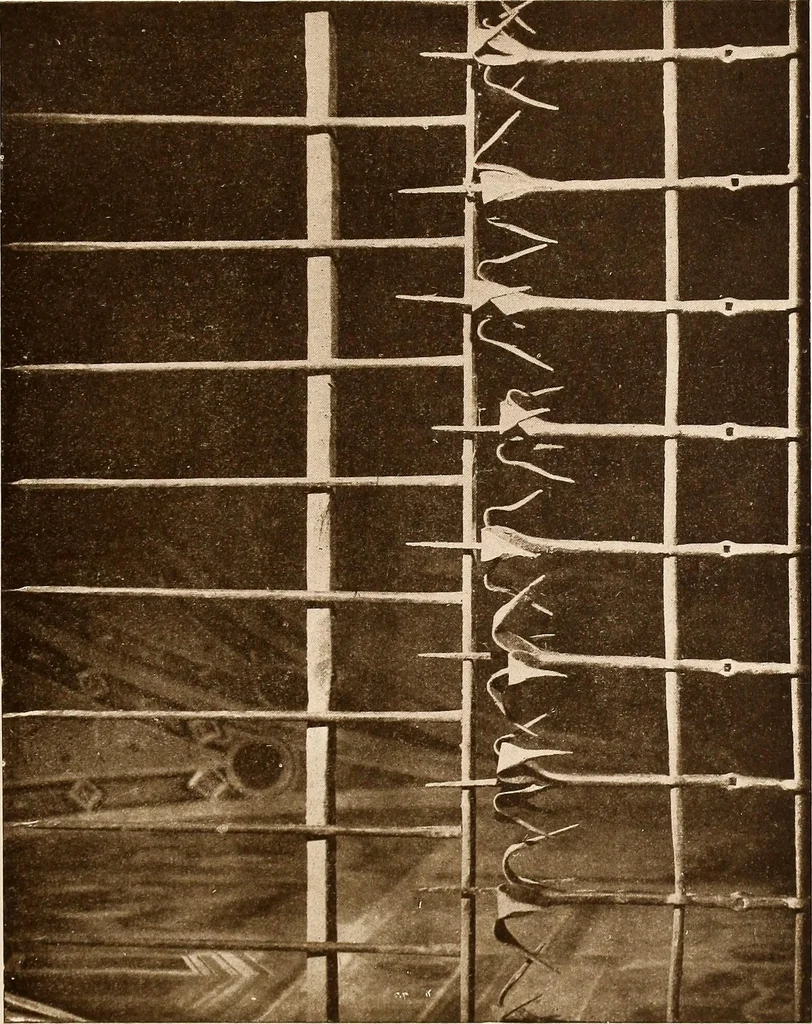 An illustration from Il ferro nell'arte italiana;, 1910, leaf 84