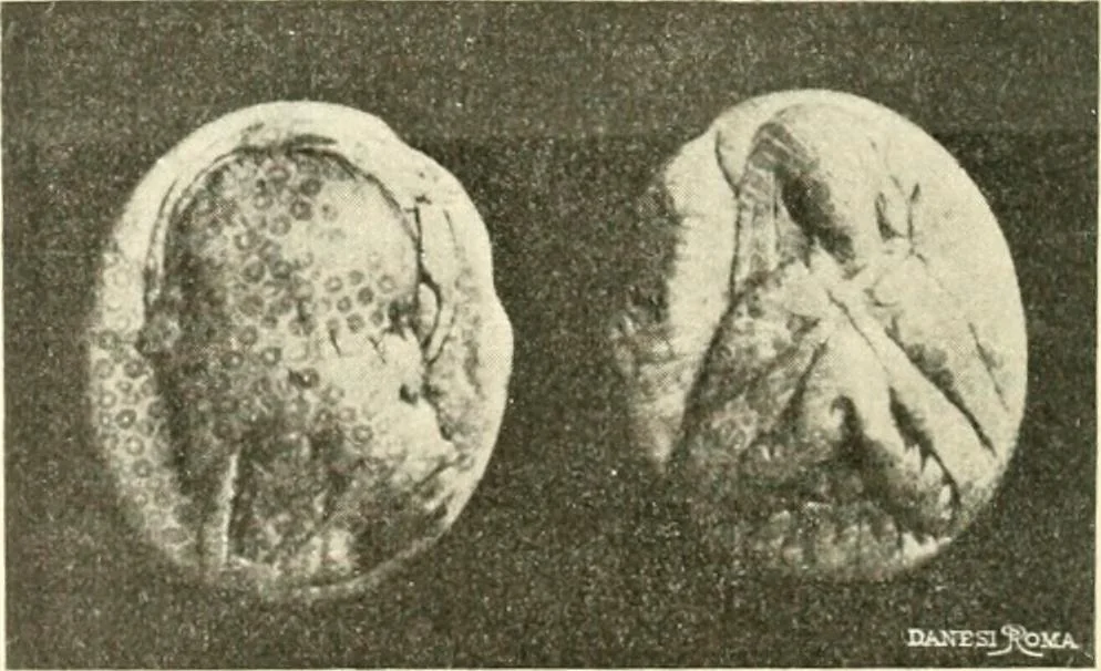 An illustration from Il feticismo primitivo in Italia, e le sue forme di adattamento, 1907, leaf 119