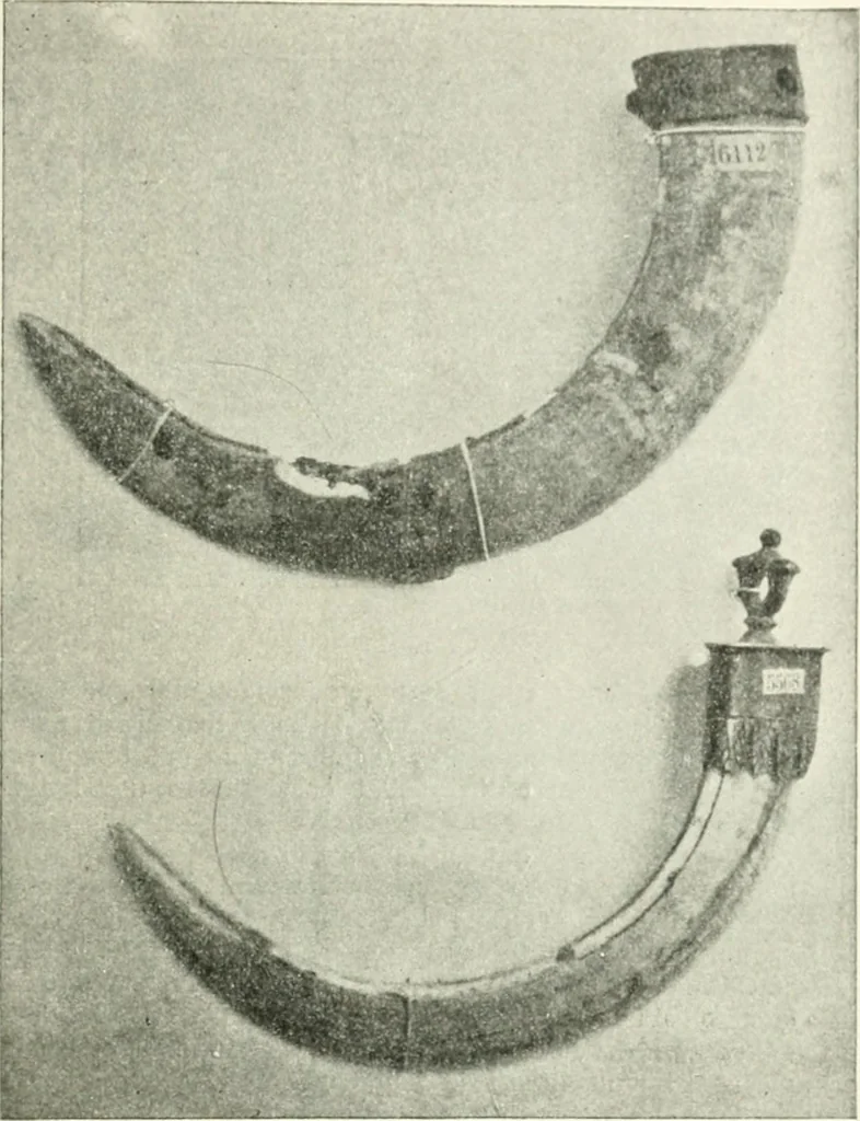 An illustration from Il feticismo primitivo in Italia, e le sue forme di adattamento, 1907, leaf 52