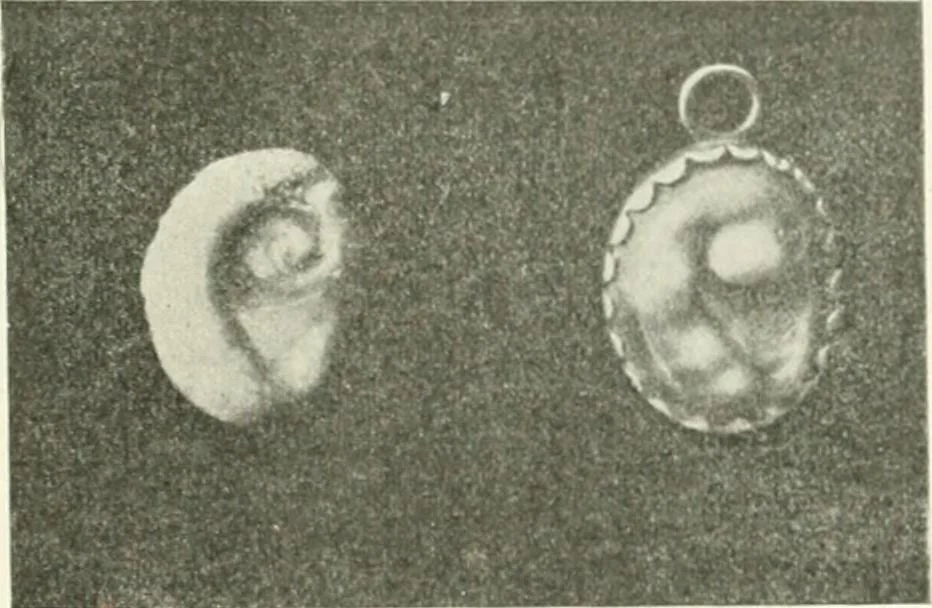 An illustration from Il feticismo primitivo in Italia, e le sue forme di adattamento, 1907, leaf 54