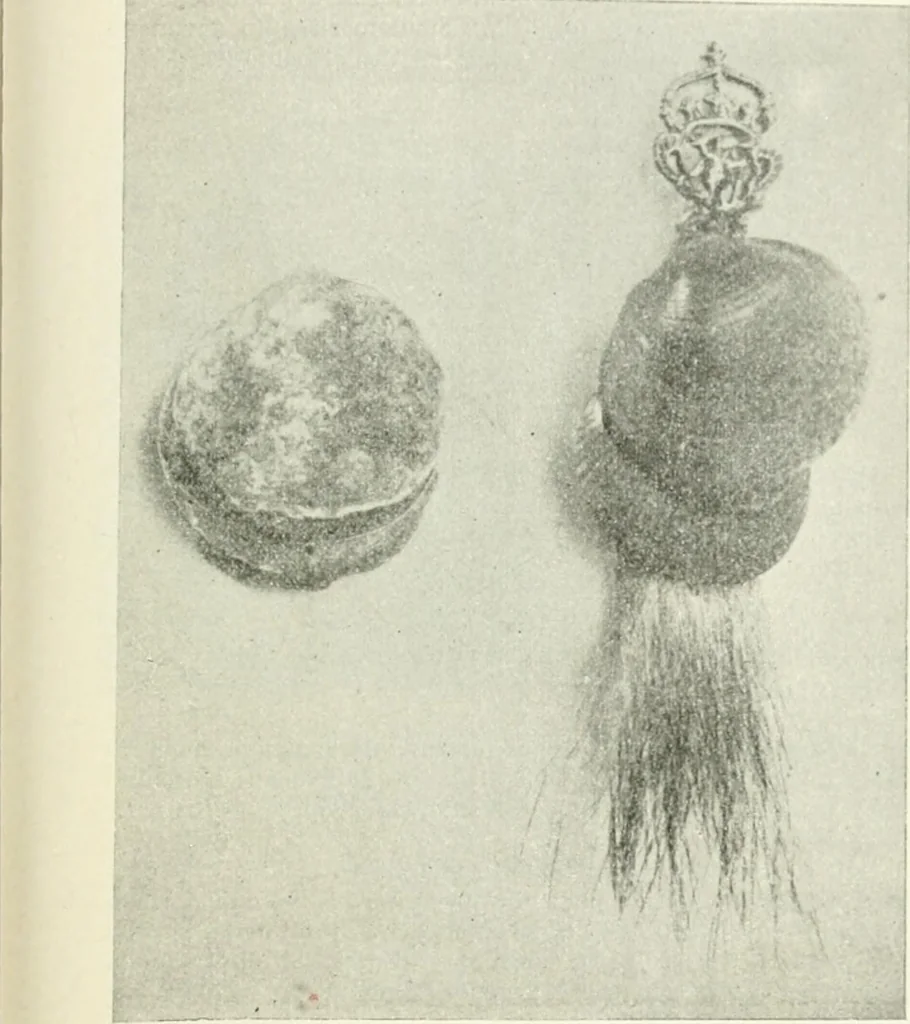 An illustration from Il feticismo primitivo in Italia, e le sue forme di adattamento, 1907, leaf 58