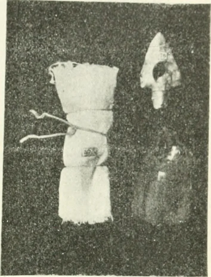 An illustration from Il feticismo primitivo in Italia, e le sue forme di adattamento, 1907, leaf 62