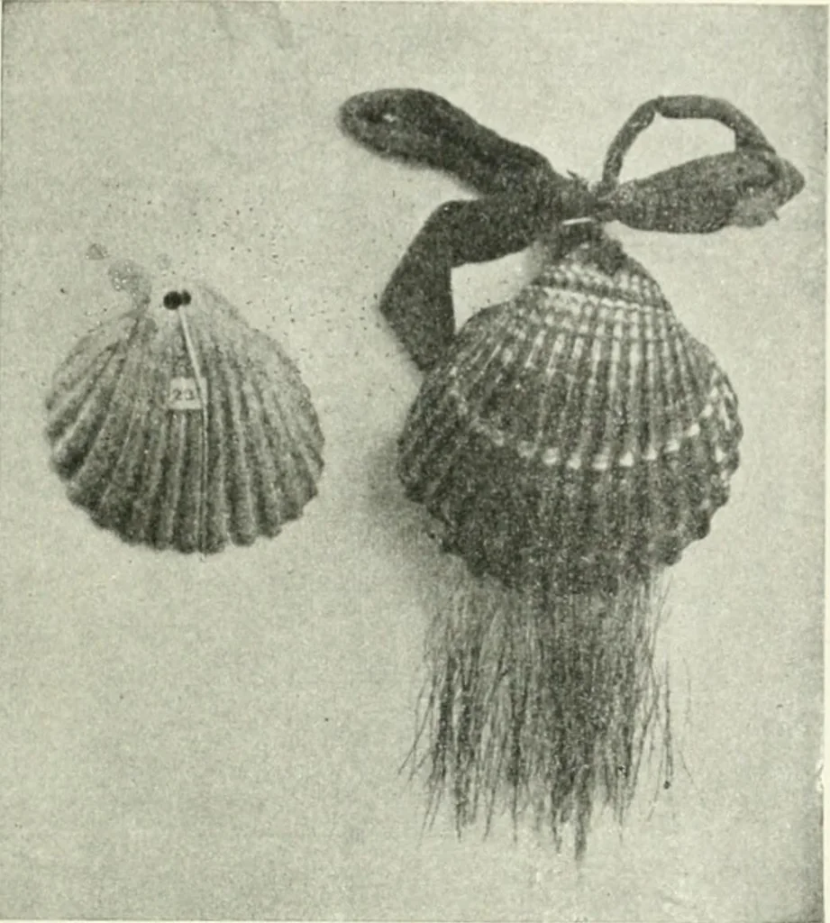 An illustration from Il feticismo primitivo in Italia, e le sue forme di adattamento, 1907, leaf 64