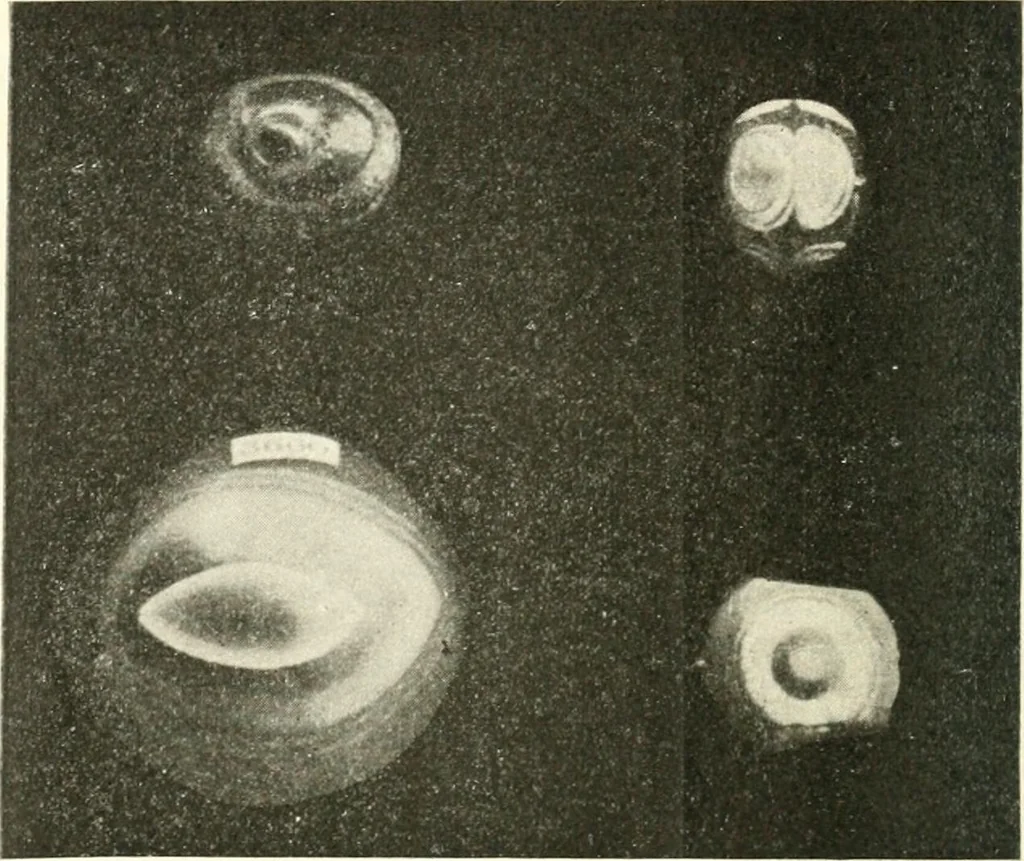 An illustration from Il feticismo primitivo in Italia, e le sue forme di adattamento, 1907, leaf 69