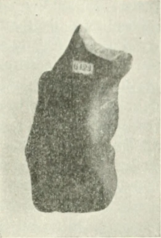 An illustration from Il feticismo primitivo in Italia, e le sue forme di adattamento, 1907, leaf 90
