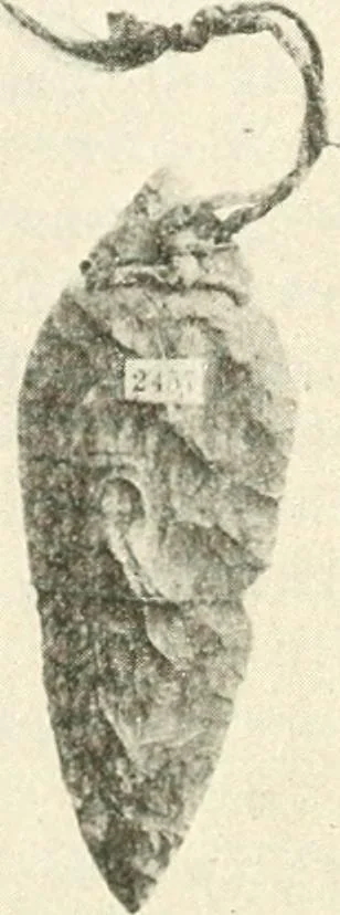 An illustration from Il feticismo primitivo in Italia, e le sue forme di adattamento, 1907, leaf 97