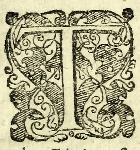 An illustration from Il finto : comedia leggiadra, 1601, leaf 17