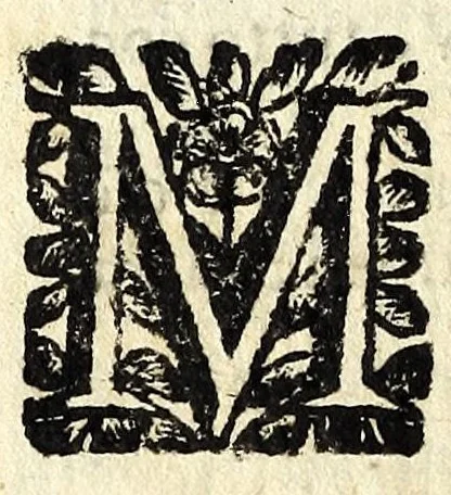 An illustration from Il finto paggio, overo, Amare, e non sapere chi : operetta, leaf 42