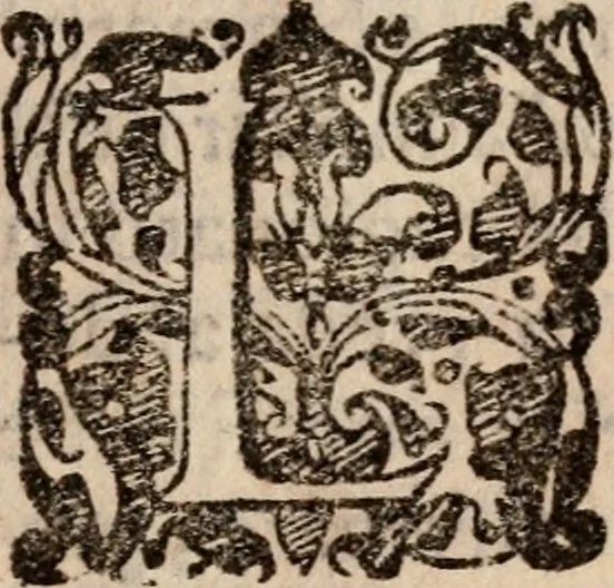 An illustration from Il funerale d'Agostin Carraccio : fatto in Bologna sua patria da gl'Incaminati academici del disegno, 1603, leaf 34
