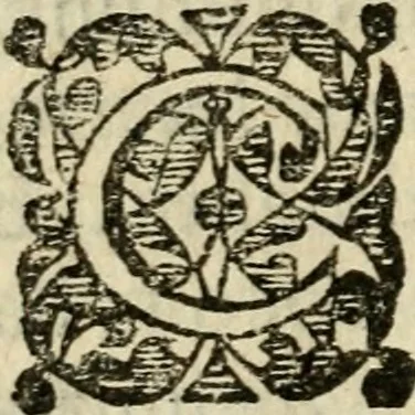 An illustration from Il funerale d'Agostin Carraccio : fatto in Bologna sua patria da gl'Incaminati academici del disegno, 1603, leaf 49
