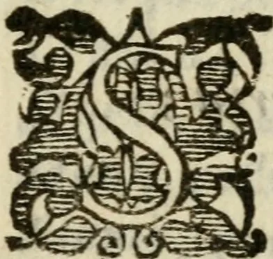An illustration from Il funerale d'Agostin Carraccio : fatto in Bologna sua patria da gl'Incaminati academici del disegno, 1603, leaf 50