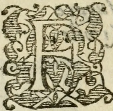 An illustration from Il funerale d'Agostin Carraccio : fatto in Bologna sua patria da gl'Incaminati academici del disegno, 1603, leaf 51