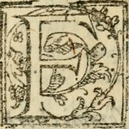 An illustration from Il funerale d'Agostin Carraccio : fatto in Bologna sua patria da gl'Incaminati academici del disegno, 1603, leaf 55