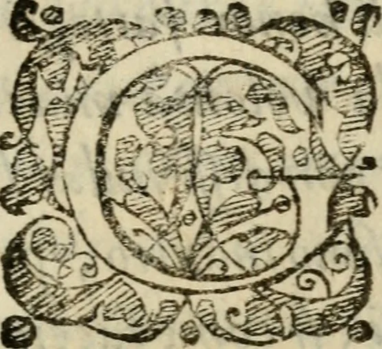 An illustration from Il funerale d'Agostin Carraccio : fatto in Bologna sua patria da gl'Incaminati academici del disegno, 1603, leaf 6