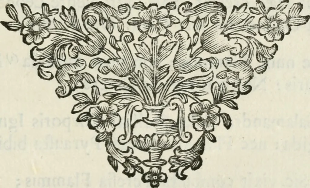 An illustration from Il fuoco nella sua sfera, coronato da' raggi d' Apollo : applausi poetici nell' vnirsi alla fiaccola del Cane Gusmano la fiamma gentilizia della molt' illustre sig. suor Maria Diletta Anna Teresa Piastri, professando nel nobilissimo monastero di S. Guglielmo, 1697, leaf 26