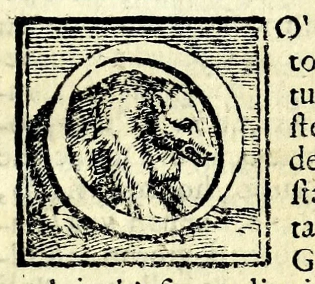 An illustration from Il fvrbo : comedia, 1606, leaf 9