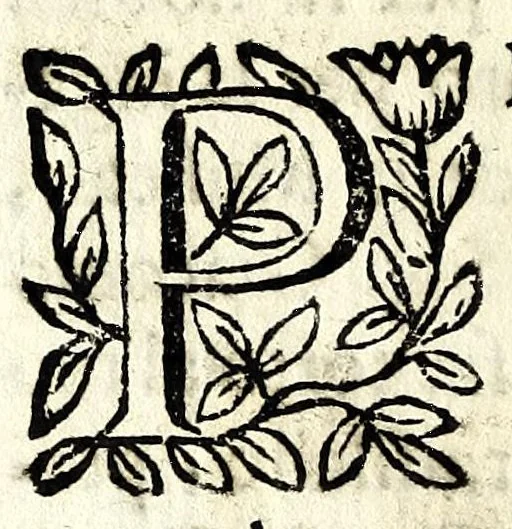 An illustration from Il fvrio Camillo : drama, 1683, leaf 6