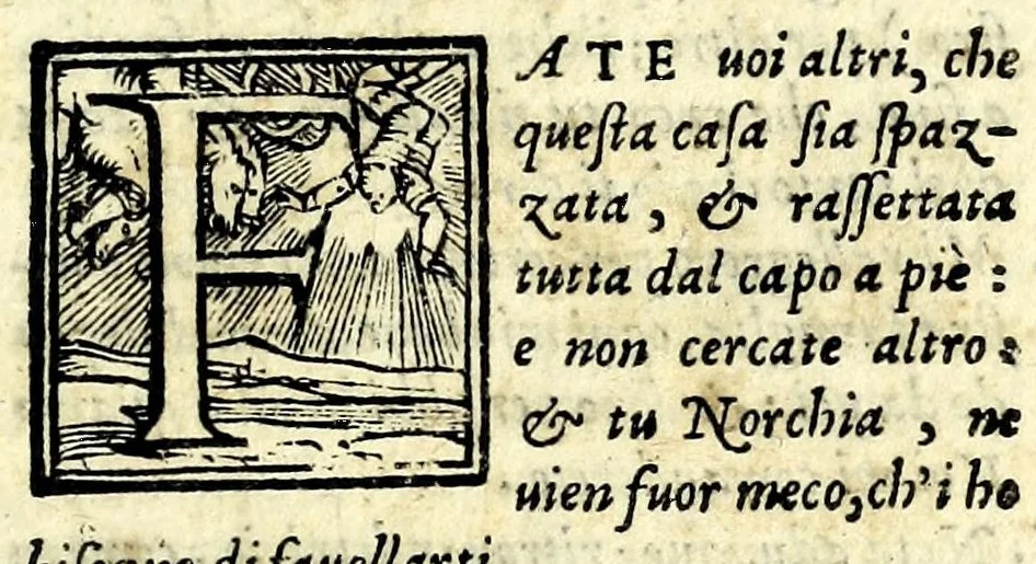 An illustration from Il fvrto : comedia, 1561, leaf 13