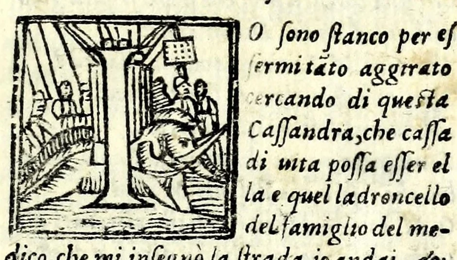 An illustration from Il fvrto : comedia, 1561, leaf 91