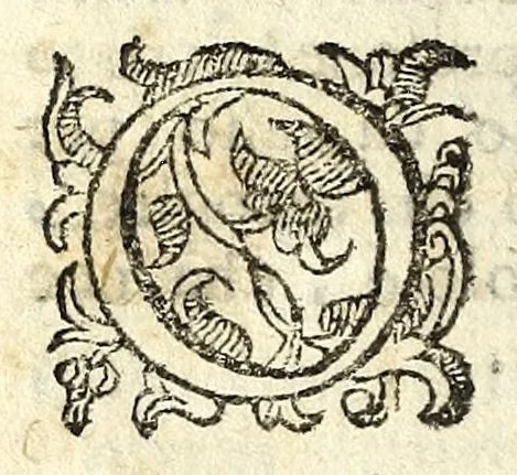 An illustration from Il Garbvglio : comedia, 1624, leaf 134