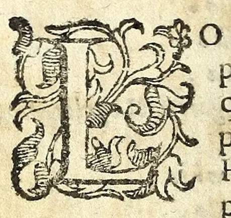 An illustration from Il Garbvglio : comedia, 1624, leaf 14