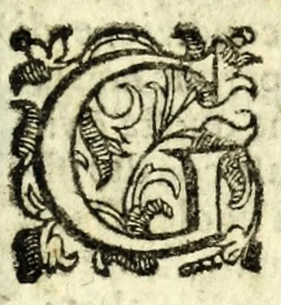An illustration from Il Garbvglio : comedia, 1624, leaf 67