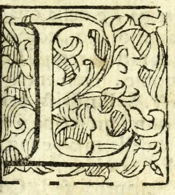 An illustration from Il Garbvglio : comedia, 1624, leaf 7