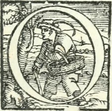 An illustration from Il geloso comedia del S. Hercole Bentivoglio, 1544, leaf 48