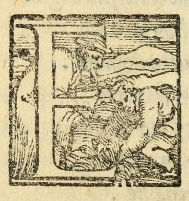 An illustration from Il geloso comedia del s. Hercole Bentiuoglio, 1547, leaf 28
