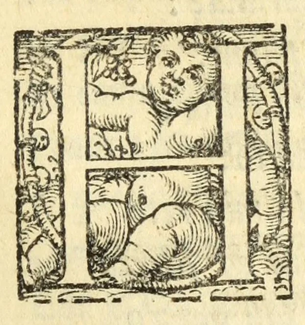 An illustration from Il geloso comedia del s. Hercole Bentiuoglio, 1547, leaf 45