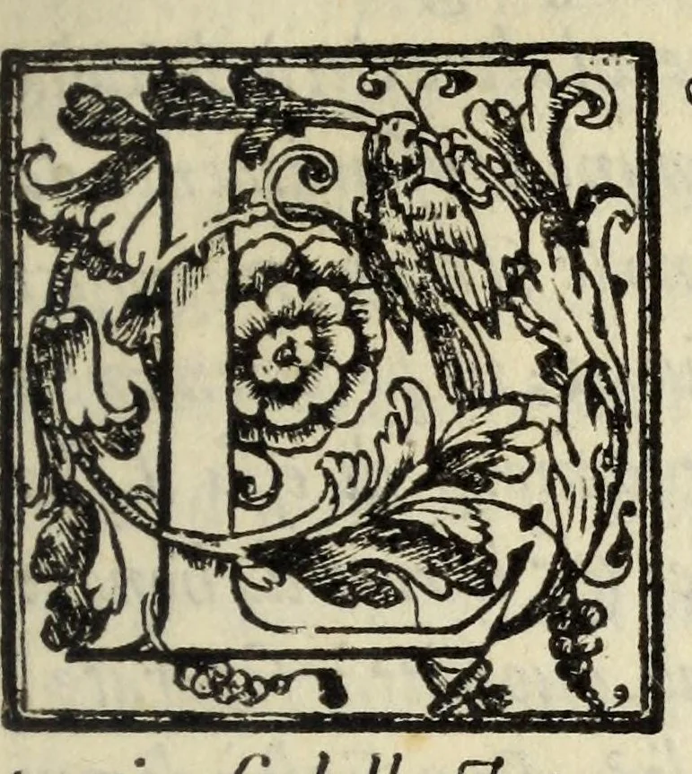 An illustration from Il gentilhuomo : in questo volume distinto in tre dialoghi si tratta la materia della nobilta, & si mostra quante ne siano le maniere, qual sia la vera, onde ella habbia havuto origine, come si acquisti, come si conservi, & come si perda : si parla della nobilta de gli huomini, & delle donne, delle persone private, & de' signori : et finalmente tra la nobilta delle arme, & delle lettere si disputa qual sia la maggiore : con la tavola delle cose notabili, 1575, leaf 21