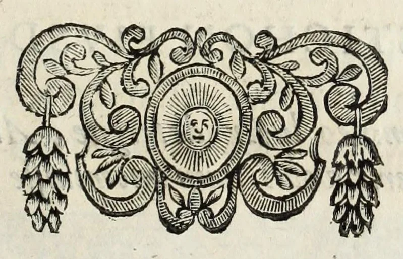An illustration from Il giglio irrigato dalle lagrime : orazione detta da Pomponio Becchetti, rettore del Collegio Ancarano, e varie poesie recitate nell' Accademia funebre auutasi nel medesimo Collegio per la morte del sereniss. principe Pietro Farnese, 1677, leaf 43