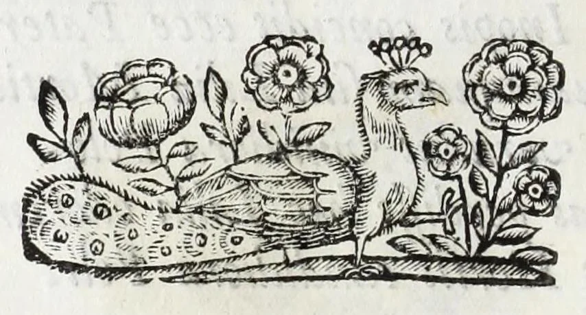 An illustration from Il giglio irrigato dalle lagrime : orazione detta da Pomponio Becchetti, rettore del Collegio Ancarano, e varie poesie recitate nell' Accademia funebre auutasi nel medesimo Collegio per la morte del sereniss. principe Pietro Farnese, 1677, leaf 62