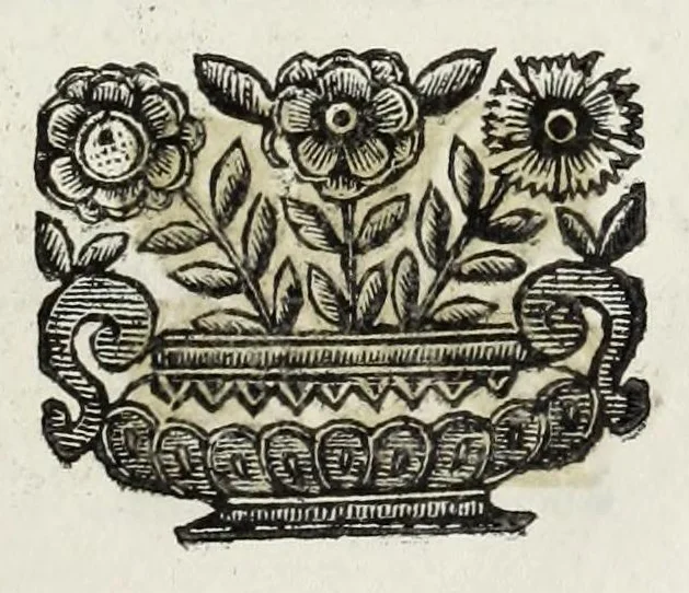 An illustration from Il giglio irrigato dalle lagrime : orazione detta da Pomponio Becchetti, rettore del Collegio Ancarano, e varie poesie recitate nell' Accademia funebre auutasi nel medesimo Collegio per la morte del sereniss. principe Pietro Farnese, 1677, leaf 63