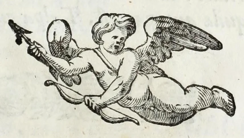 An illustration from Il giglio irrigato dalle lagrime : orazione detta da Pomponio Becchetti, rettore del Collegio Ancarano, e varie poesie recitate nell' Accademia funebre auutasi nel medesimo Collegio per la morte del sereniss. principe Pietro Farnese, 1677, leaf 95