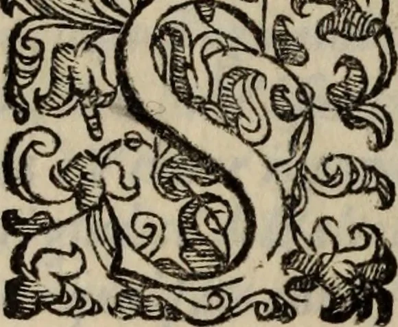 An illustration from Il givdizio di Paride; favola, rappresentata nelle felicissime nozze del sereniss. Cosimo Medici, principe di Toscana e della seren. principessa Maria Maddelena, arciduchessa di Austria, 1608, leaf 69