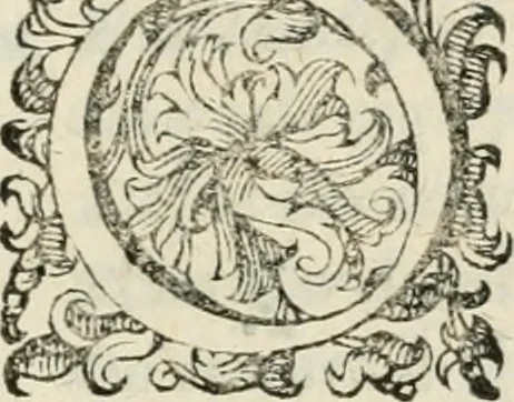 An illustration from Il givdizio di Paride; favola del s. Michelagnolo Bvonarroti, 1608, leaf 12