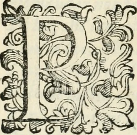 An illustration from Il givdizio di Paride; favola del s. Michelagnolo Bvonarroti, 1608, leaf 41