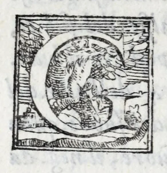 An illustration from Il givoco de gli scacchi, 1584, leaf 146