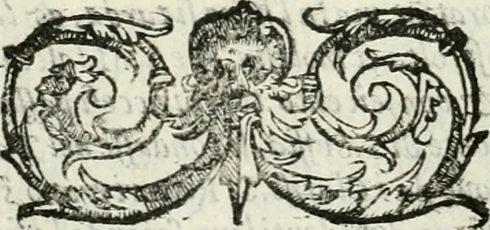 An illustration from Il gloriosissimo apparato fatto dalla serenissima Repvblica Venetiana per la venuta, per la dimora, & per la partenza del christianissimo Enrico III. re di Francia et di Polonia, 1574, leaf 21