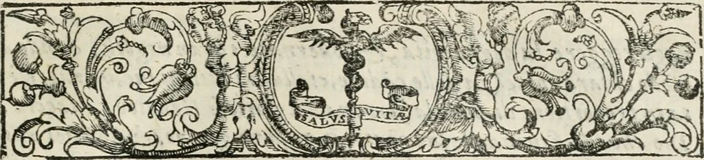 An illustration from Il gloriosissimo apparato fatto dalla serenissima Repvblica Venetiana per la venuta, per la dimora, & per la partenza del christianissimo Enrico III. re di Francia et di Polonia, 1574, leaf 6