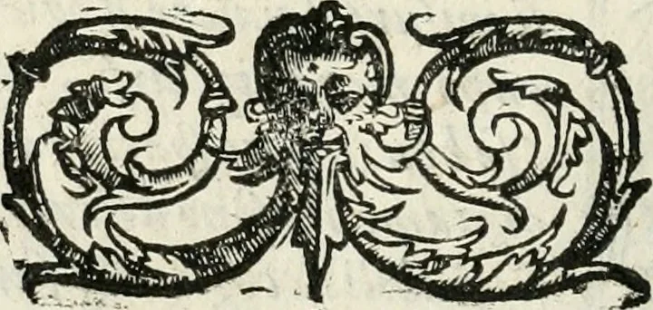 An illustration from Il gloriosissimo apparato fatto dalla serenissima Repvblica Venetiana per la venuta, per la dimora, & per la partenza del christianissimo Enrico III. re di Francia et di Polonia, 1574, leaf 7