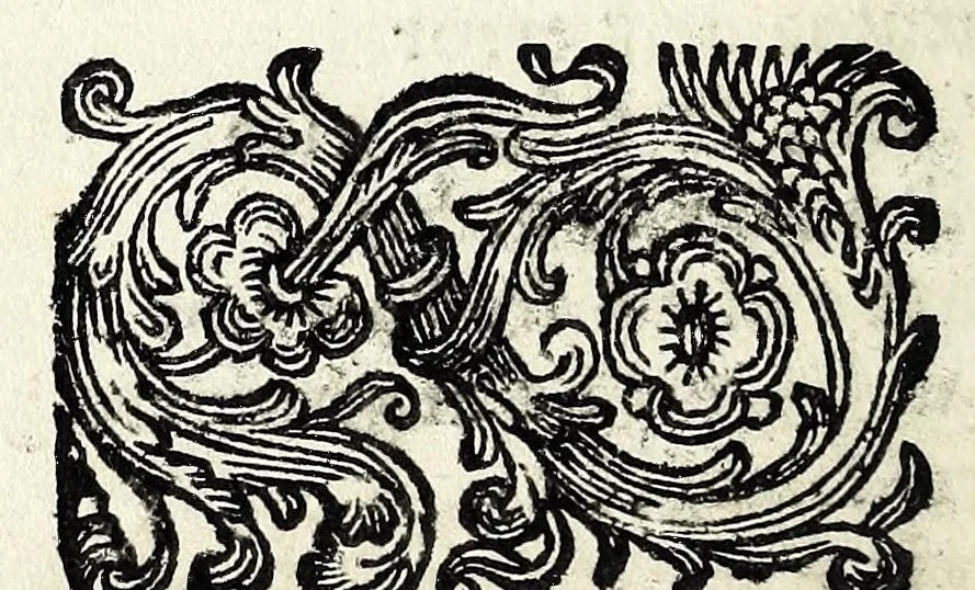 An illustration from Il Greco in Troia, festa teatrale rappresentata in Firenze per le nozze de' serenissimi sposi Ferdinando terzo principe di Toscana, e Violante Beatrice principessa di Baviera, 1688, leaf 88