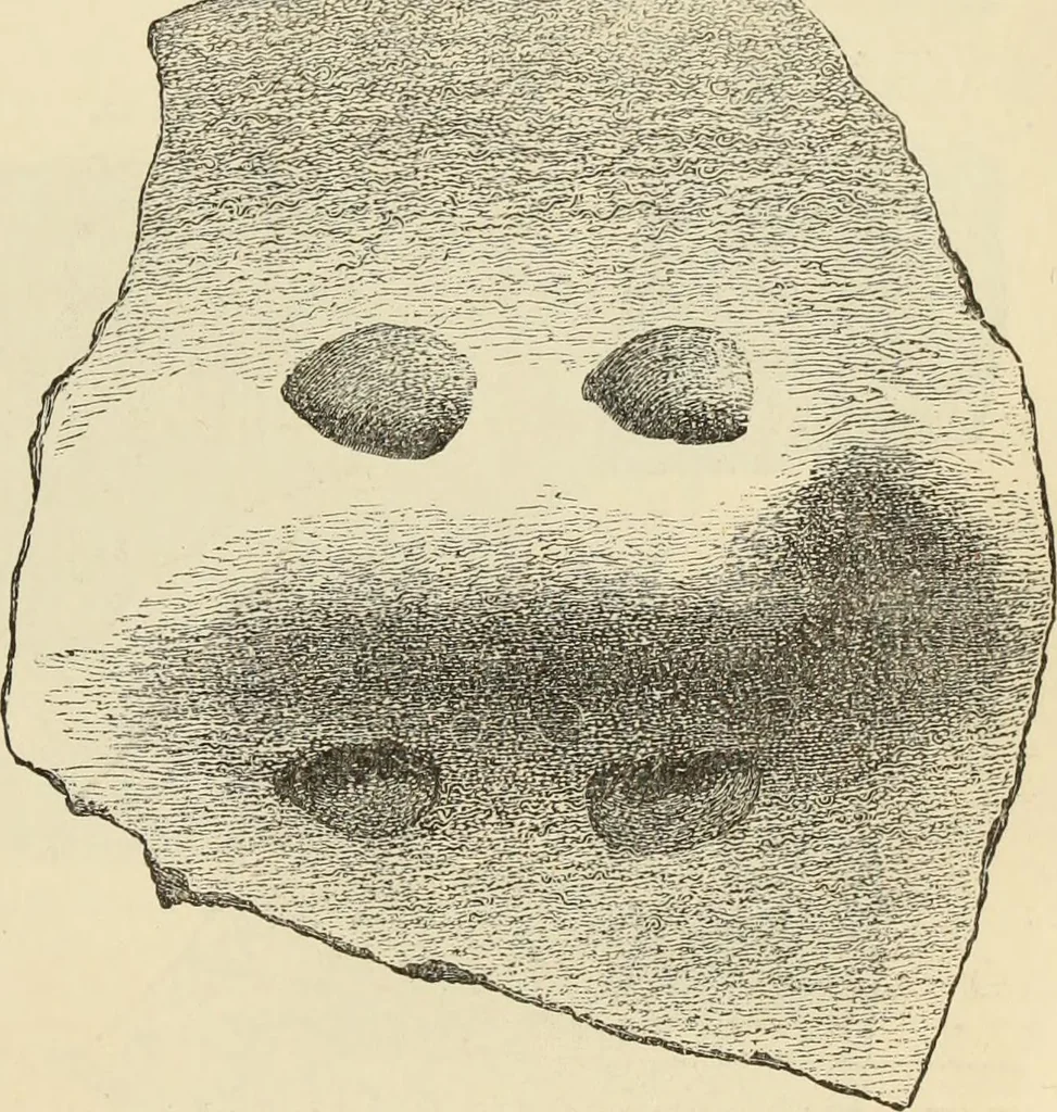 An illustration from Ilios; the city and country of the Trojans. The results of researches and discoveries on the site of Troy and throughout the Troad in the years 1871-72-73-78-79, including an autobiography of the author, 1880, leaf 240