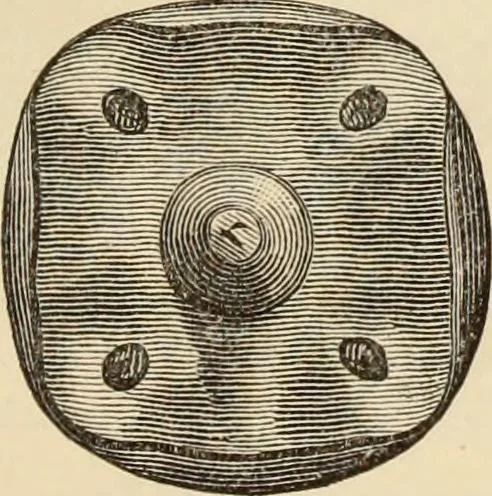 An illustration from Ilios; the city and country of the Trojans. The results of researches and discoveries on the site of Troy and throughout the Troad in the years 1871-72-73-78-79, including an autobiography of the author, 1880, leaf 240