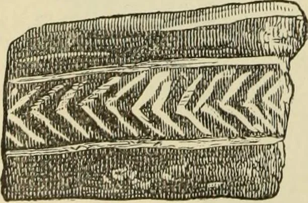An illustration from Ilios; the city and country of the Trojans. The results of researches and discoveries on the site of Troy and throughout the Troad in the years 1871-72-73-78-79, including an autobiography of the author, 1880, leaf 241
